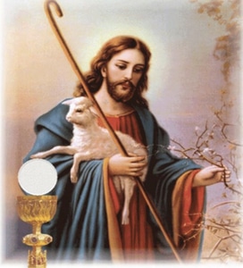 The Pro-Cathedral of The Good Shepherd Austin